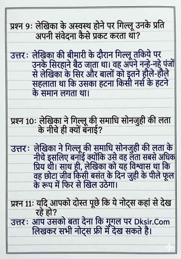 RSOS 10th Hindi Chapter 3 Notes, RSOS 10th Hindi (201), राजस्थान ओपन बोर्ड कक्षा 10 हिंदी पाठ 3 नोट्स, RSOS 10th Hindi Notes, Rajasthan open school 10th Hindi Notes Chapter wise, RSOS पाठ 3 गिल्लू, RSOS 10th Notes, RSOS 10th Hindi Notes Pdf.